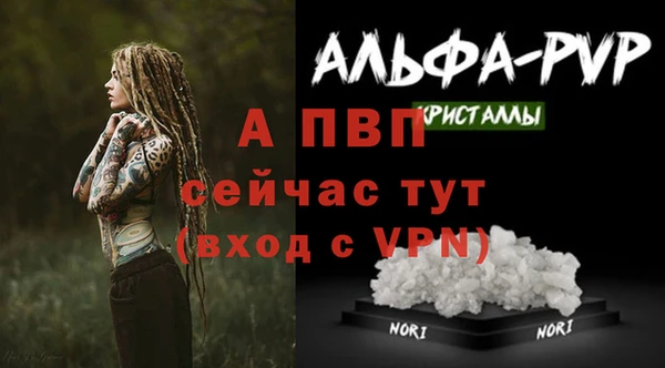 ALPHA-PVP Костерёво