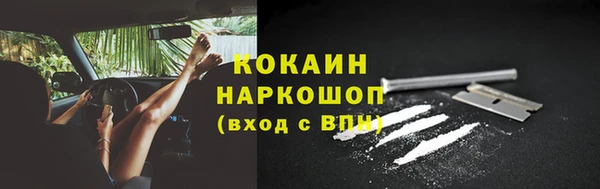 каннабис Корсаков
