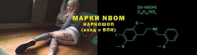 СК Коряжма
