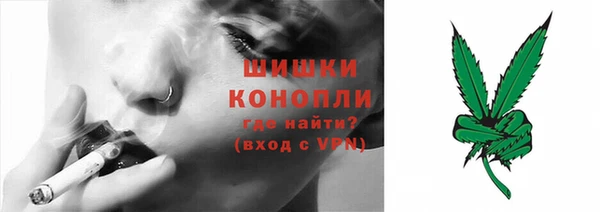 СК Коряжма