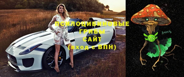 СК Коряжма