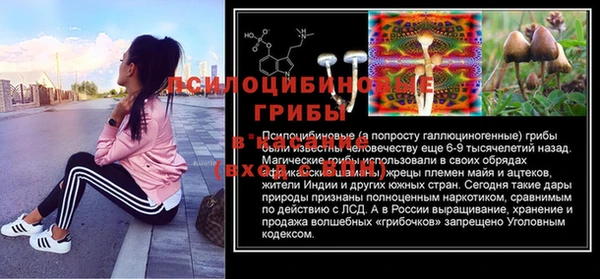 СК Коряжма